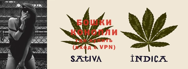 шишки Белокуриха