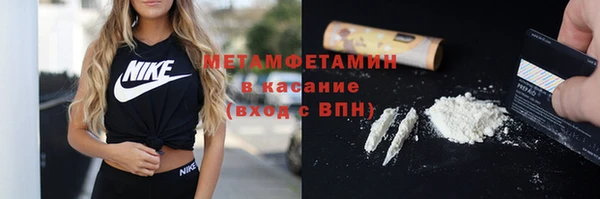 шишки Белокуриха