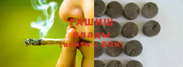шишки Белокуриха