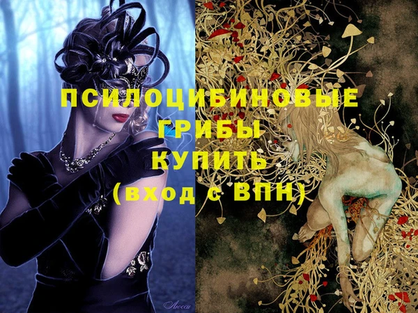шишки Белокуриха