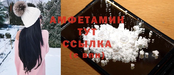 шишки Белокуриха