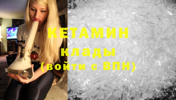 шишки Белокуриха