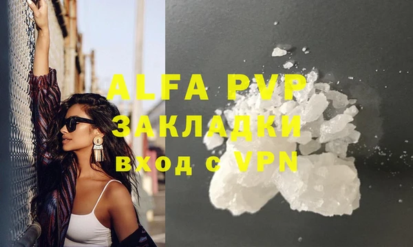 шишки Белокуриха