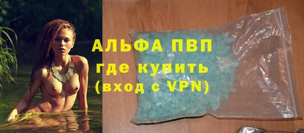 шишки Белокуриха