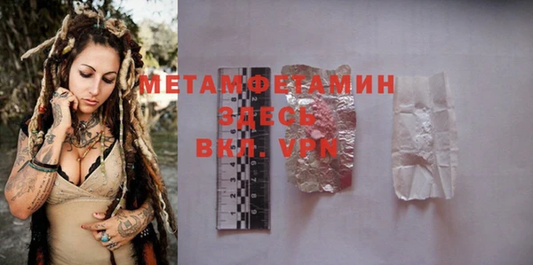 шишки Белокуриха