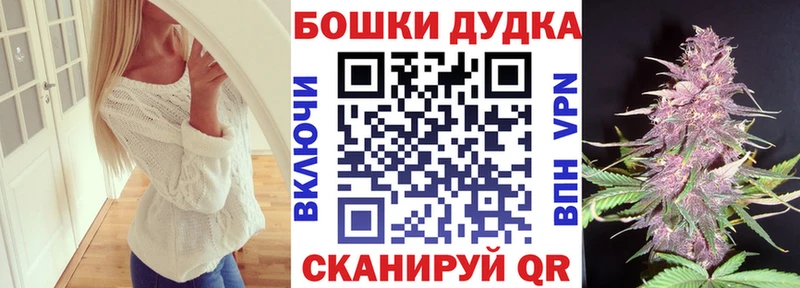 Шишки марихуана сатива hydra онион Малмыж